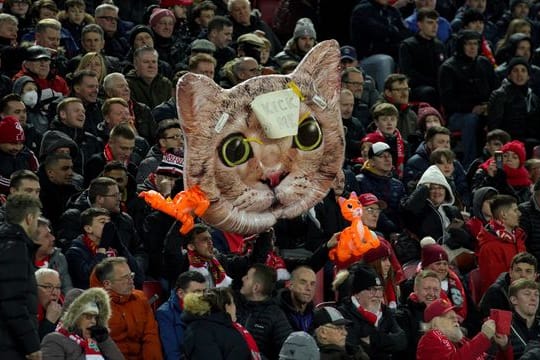Ein Zuschauer spielt mit aufblasbaren Katzen und dem Text "Kick me" auf das Video von Kurt Zouma an.