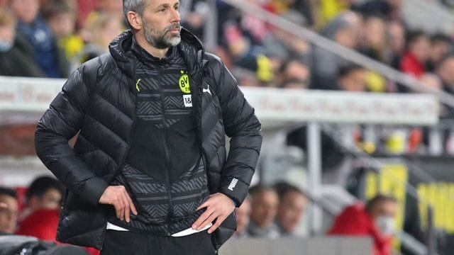 Betont den "offenen und guten Dialog" mit Erling Haaland: Dortmunds Trainer Marco Rose. Betont den "offenen und guten Dialog" mit Erling Haaland: Dortmunds Trainer Marco Rose.