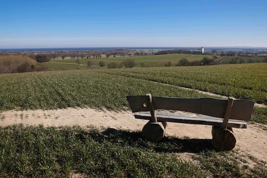 Gutshöfe in Schleswig-Holstein