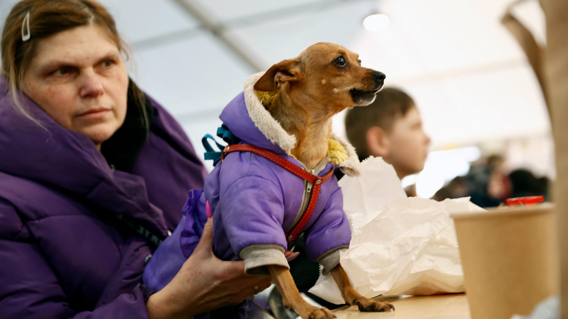 Eine Geflüchtete aus der Ukraine hält ihren Hund fest: Viele Flüchtlinge wissen nichts von den Einreisebestimmungen für Tiere nach Deutschland.