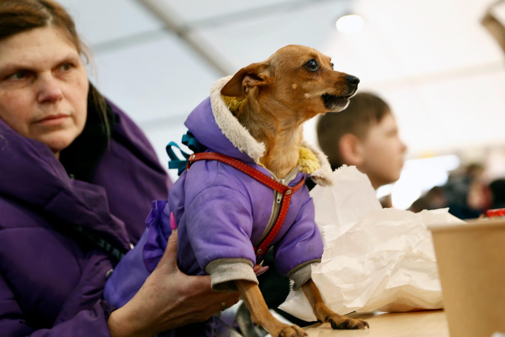 Eine Geflüchtete aus der Ukraine hält ihren Hund fest: Viele Flüchtlinge wissen nichts von den Einreisebestimmungen für Tiere nach Deutschland.