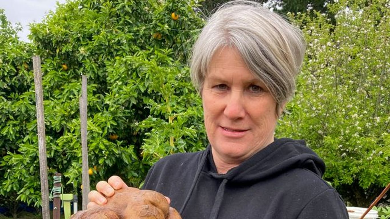 Donna Craig-Brown hält "Dug" (zunächst hieß sie "Doug"), die vermeintlich größte Kartoffel der Welt, im Garten ihrer kleinen Farm hoch.