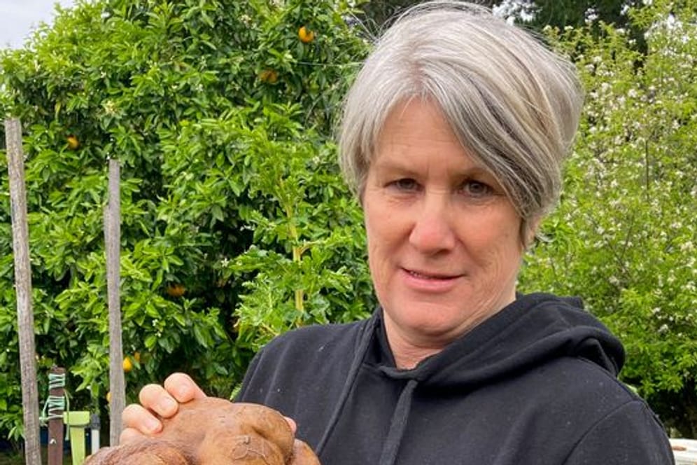 Donna Craig-Brown hält "Dug" (zunächst hieß sie "Doug"), die vermeintlich größte Kartoffel der Welt, im Garten ihrer kleinen Farm hoch.