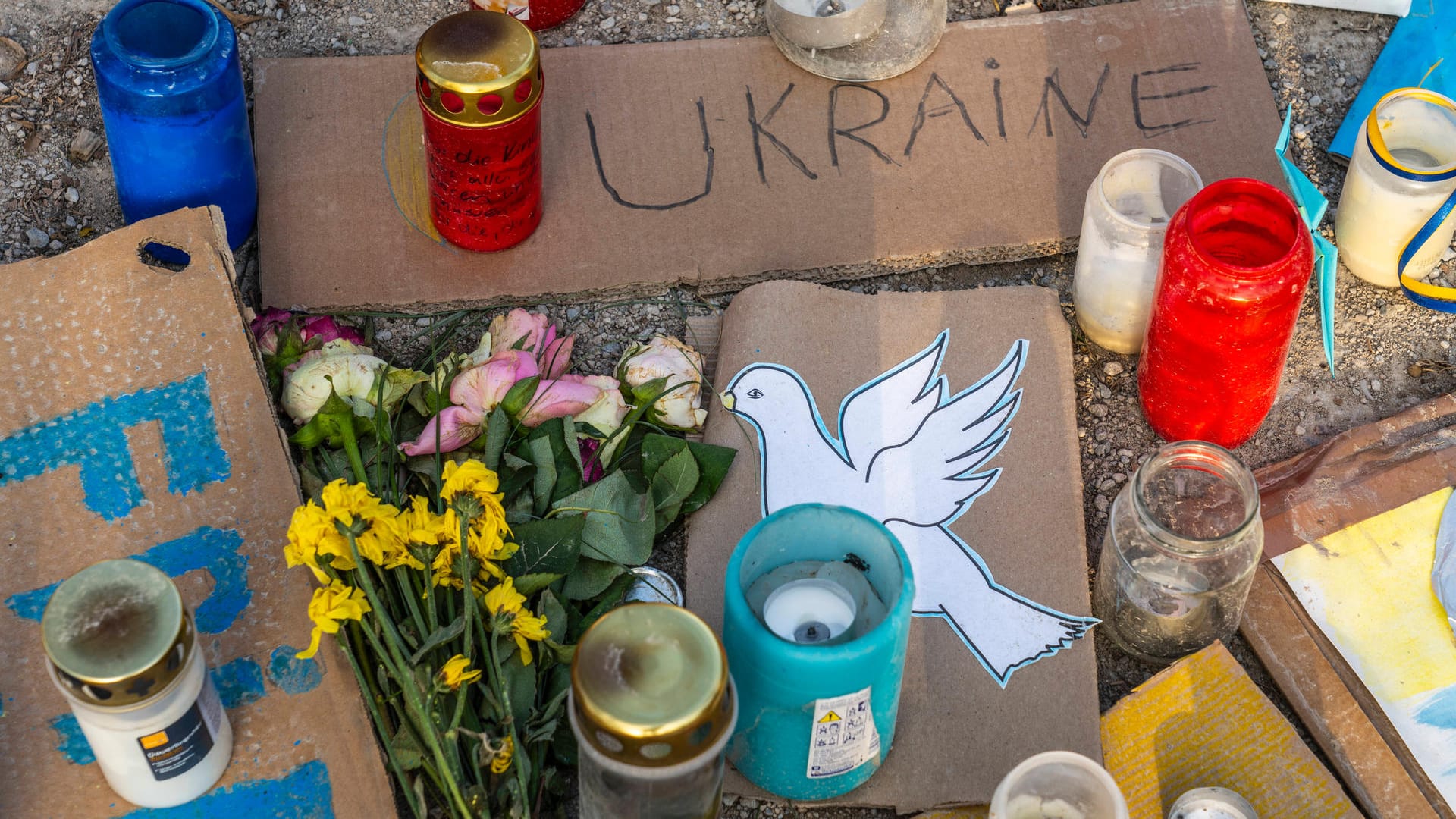 Protest gegen den Krieg in der Ukraine (Symbolbild): Die Sechsjährige bastelte für die Aktion Friedenstauben. Protest gegen den Krieg in der Ukraine (Symbolbild): Die Sechsjährige bastelte für die Aktion Friedenstauben.