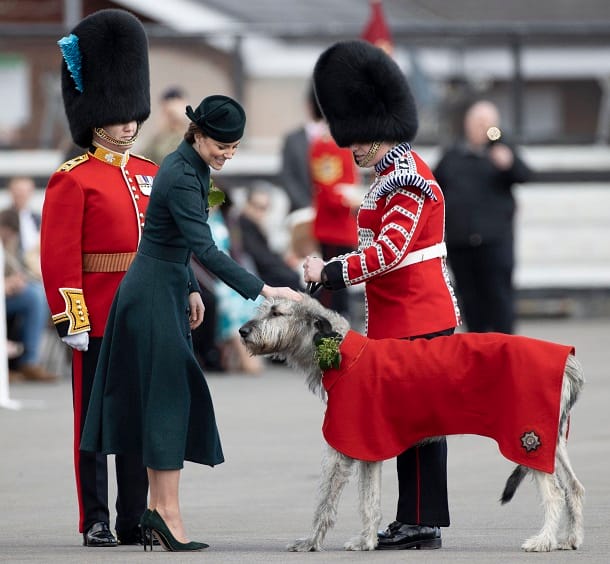 Herzogin Kate und das Maskottchen der Guards namens Turlough Mor.