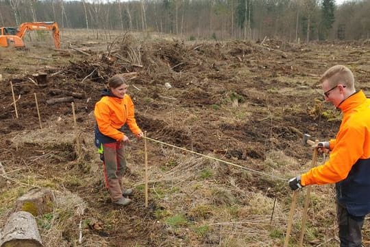 Aufforstung in Hessen