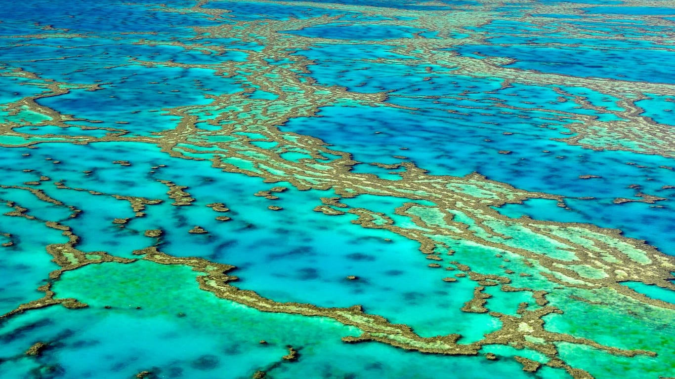 Das Great Barrier Reef: Die Auswirkungen der neuen Korallenbleibe reichen "von geringfügig bis schwerwiegend".