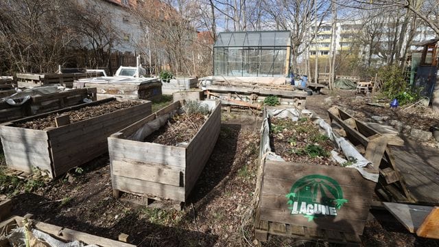 Gemeinschaftsgärten und Urban Gardening im Trend