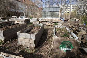 Gemeinschaftsgärten und Urban Gardening im Trend