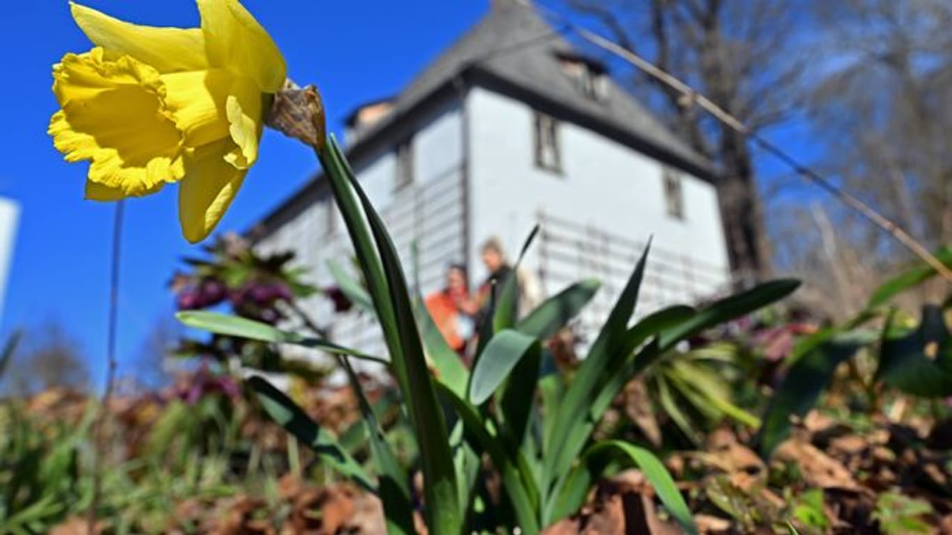 Frühlingswetter in Sachsen