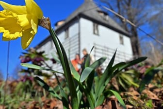 Frühlingswetter in Sachsen