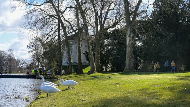 Frühlingserwachen im Wörlitzer Park