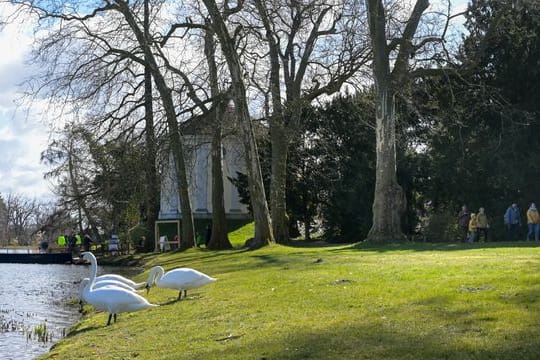 Frühlingserwachen im Wörlitzer Park