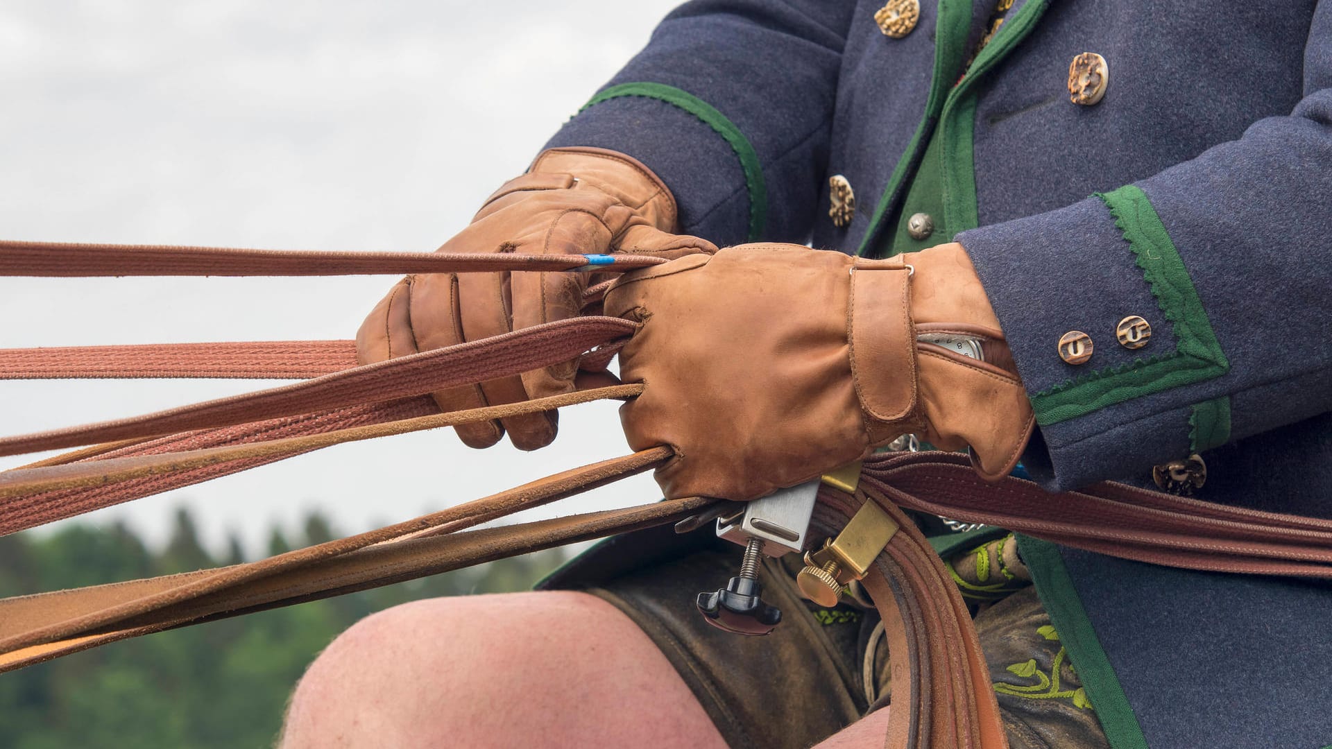 Ein Kutscher hält die Zügel in der Hand (Symbolbild): Bei einer Ausfahrt in Gütersloh kam es zu einem schweren Unfall.