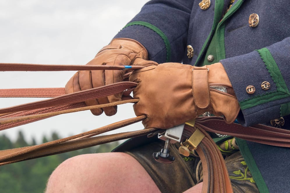 Ein Kutscher hält die Zügel in der Hand (Symbolbild): Bei einer Ausfahrt in Gütersloh kam es zu einem schweren Unfall.