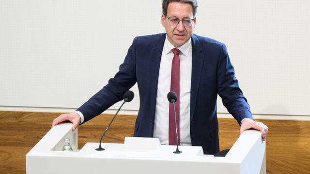 Stefan Birkner (FDP)