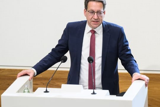 Stefan Birkner (FDP)