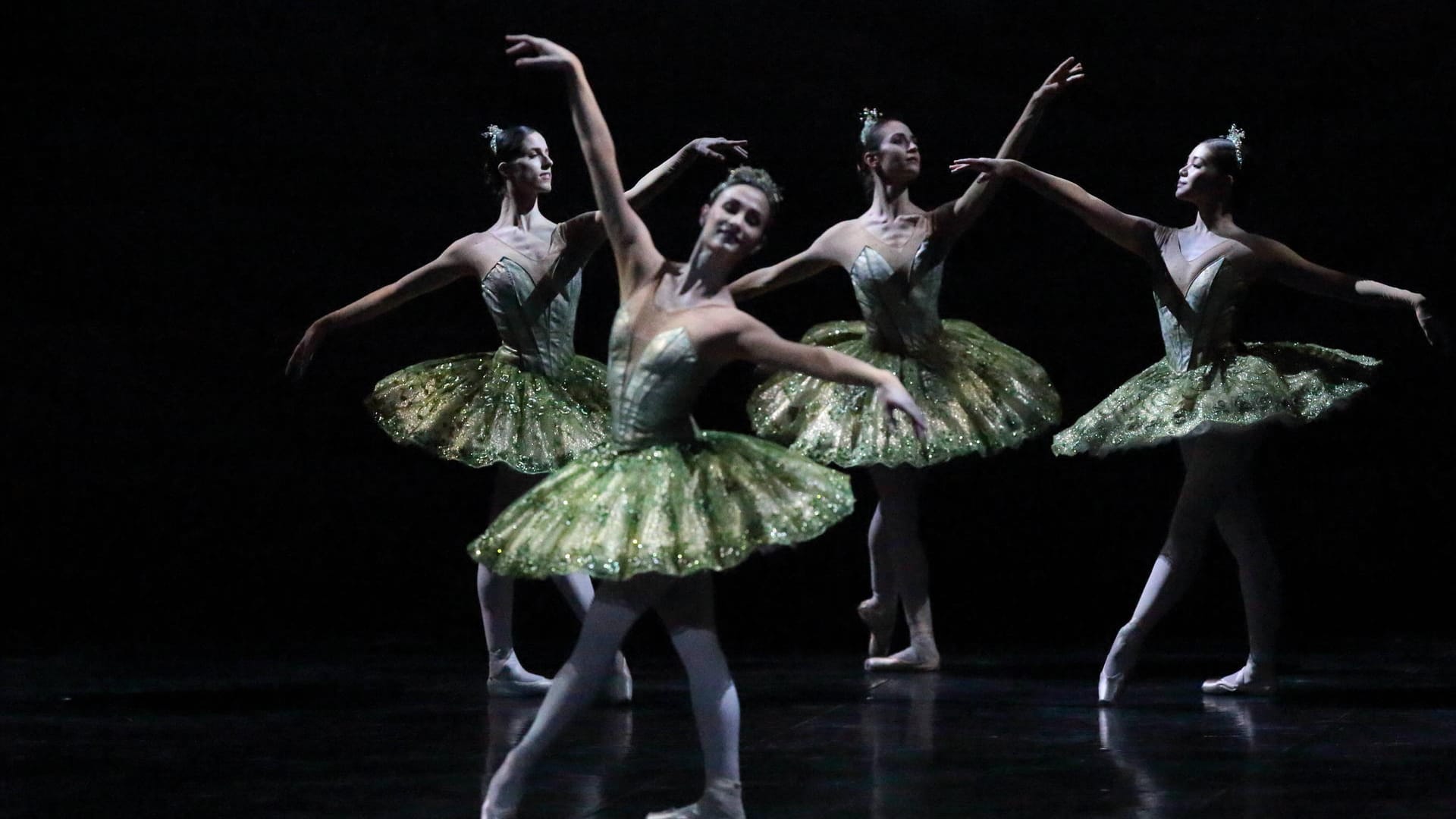 Tänzerinnen des Staatsballetts Berlin bei einer Fotoprobe (Archivbild): Das Staatsballett erhält vermehrt Anfragen aus Russland und der Ukraine. Tänzerinnen des Staatsballetts Berlin bei einer Fotoprobe (Archivbild): Das Staatsballett erhält vermehrt Anfragen aus Russland und der Ukraine.