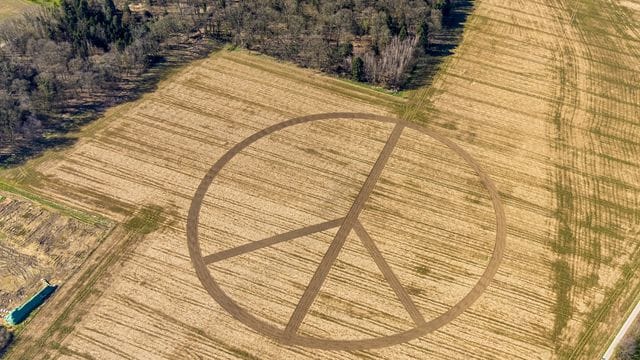 Ein Essener Landwirt hat mit seinem Traktor ein Peace-Zeichen in ein Maisfeld gezeichnet. Ein Essener Landwirt hat mit seinem Traktor ein Peace-Zeichen in ein Maisfeld gezeichnet.