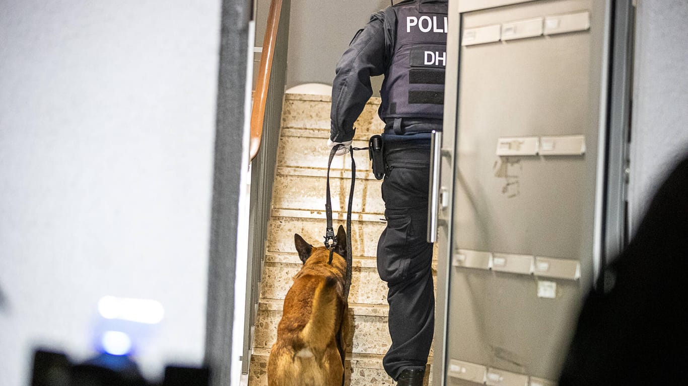 Polizist mit Drogenhund (Symbolbild): Die Cannabispflanzen wurde von der Polizei beschlagnahmt.