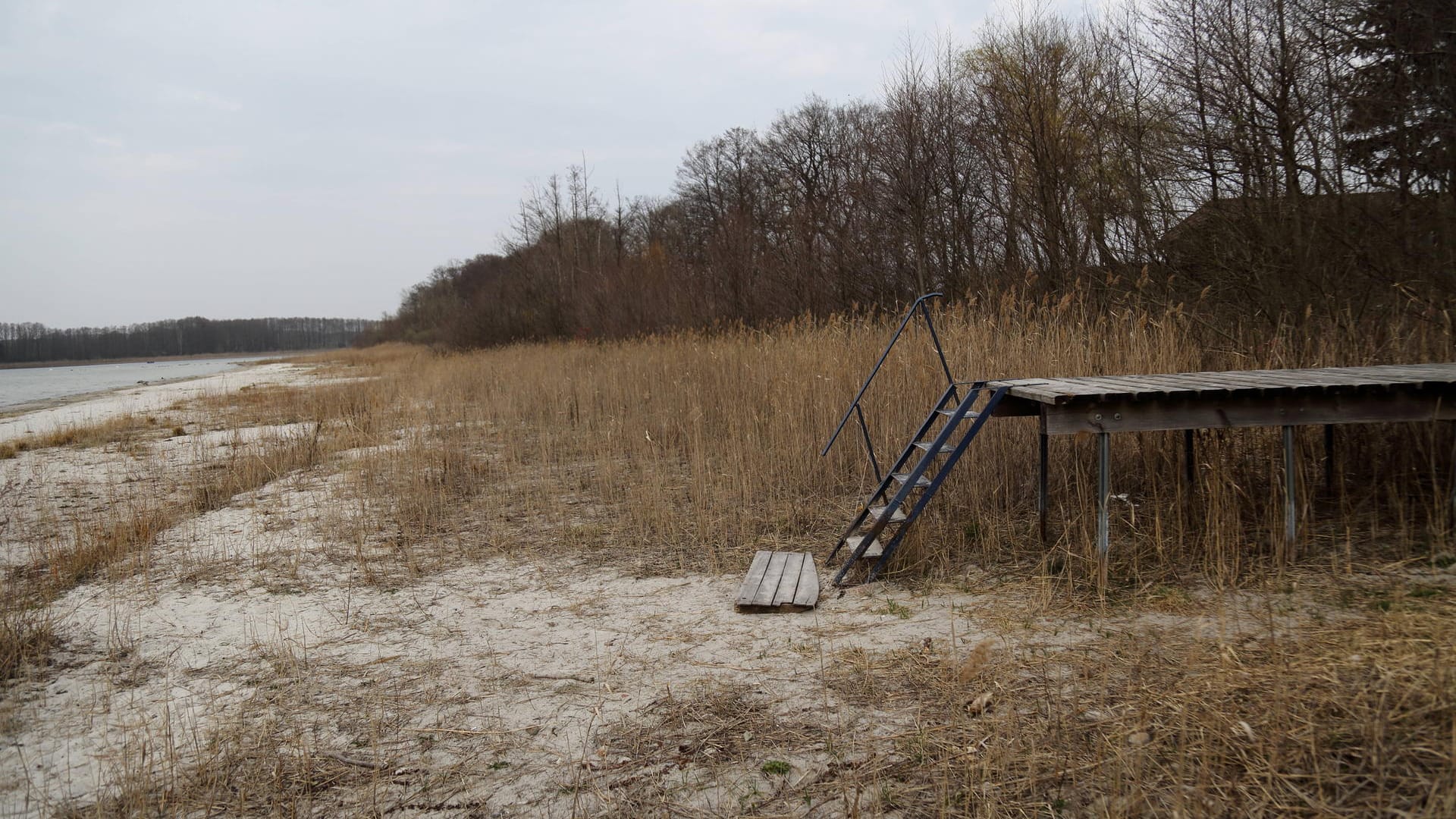 Seddiner See bei Potsdam: Die Klimakrise hat den Wasserstand erheblich sinken lassen.