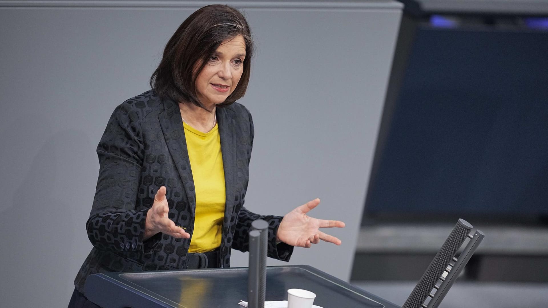 Katrin Göring-Eckardt bei einer Rede im Bundestag: "Nee, Entschuldigung!"