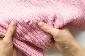 Mittel gegen Kleidermotten im Test: Die Stiftung Warentest untersucht 14 Produkte im Kampf gegen die lästigen Falter.