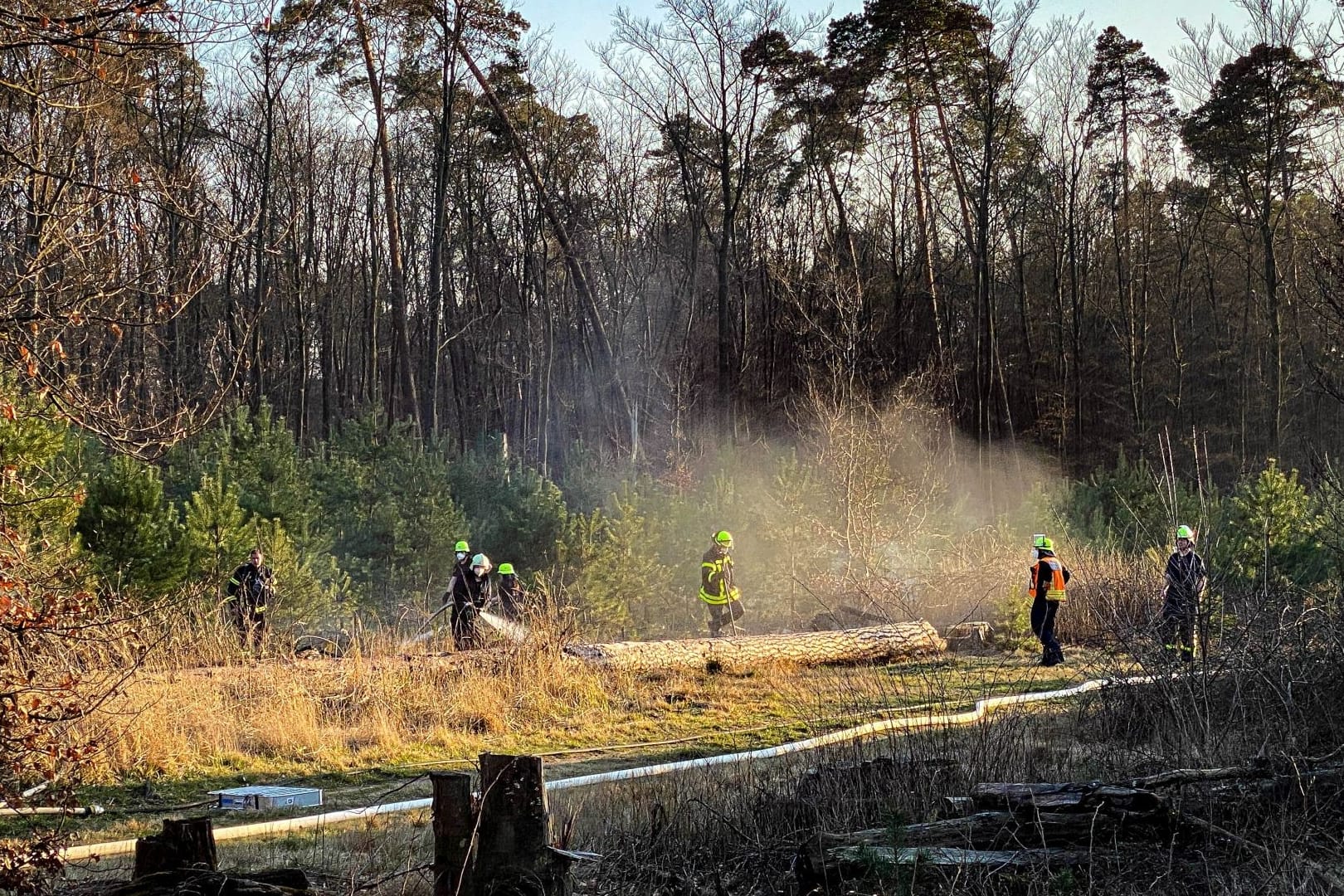 Feuerwehr am Ort des Waldbrandes: Der Verdacht der Brandstiftung steht im Raum.