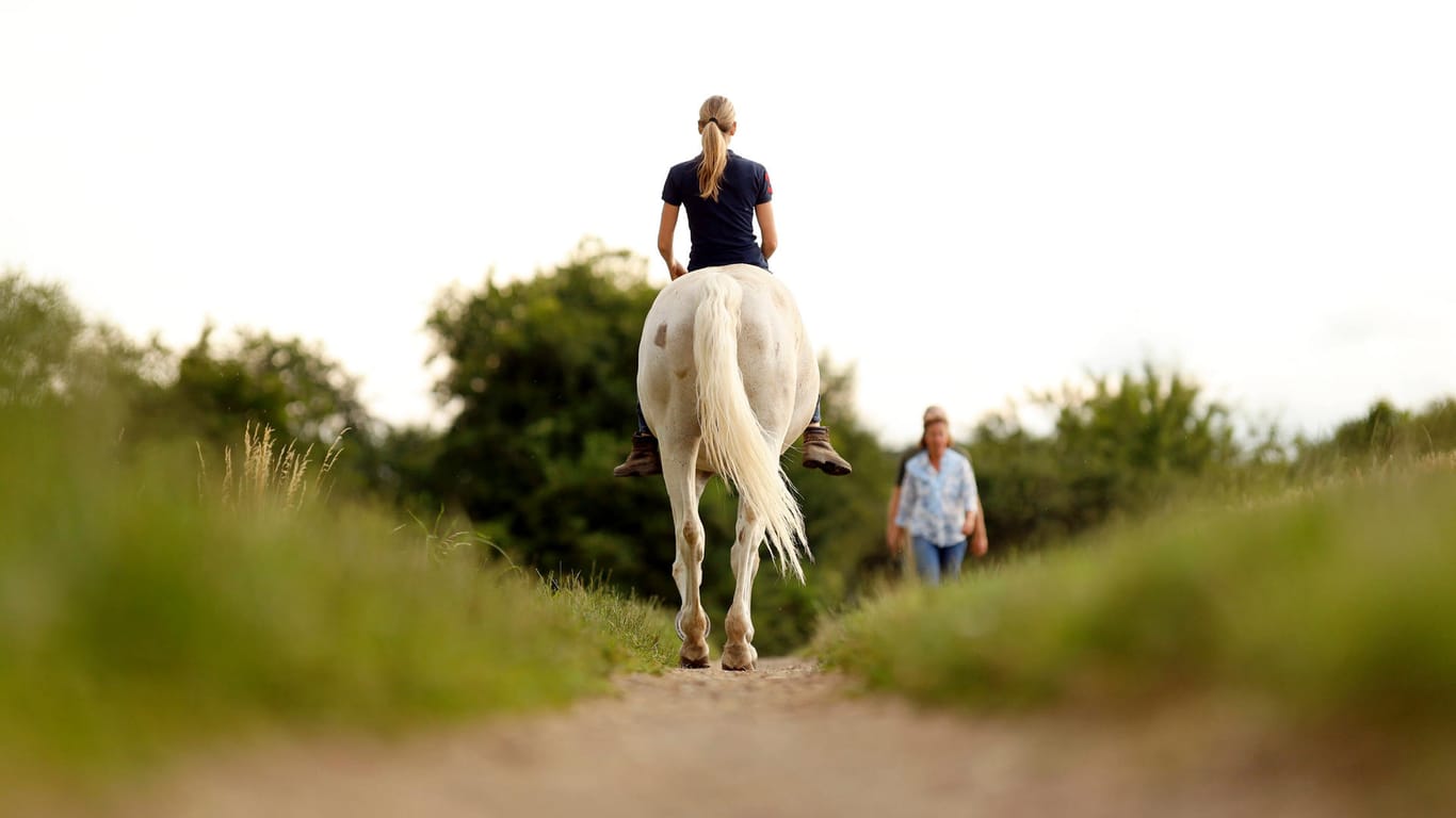 Eine Reiterin mit einem Pferd auf einem Feldweg (Symbolbild): Eine 15-Jährige ist in Attendorn mit ihrem Pony in einen Supermarkt geritten.
