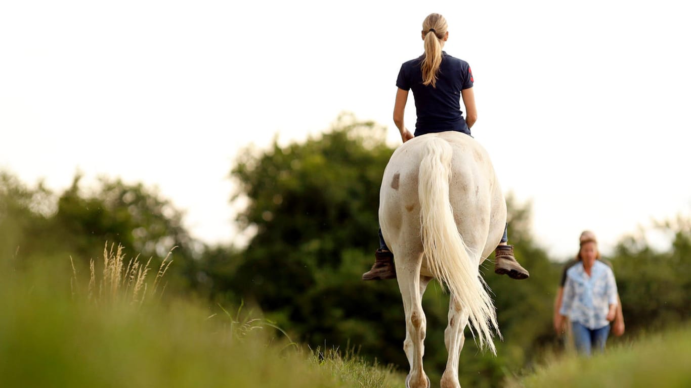 Eine Reiterin mit einem Pferd auf einem Feldweg (Symbolbild): Eine 15-Jährige ist in Attendorn mit ihrem Pony in einen Supermarkt geritten.