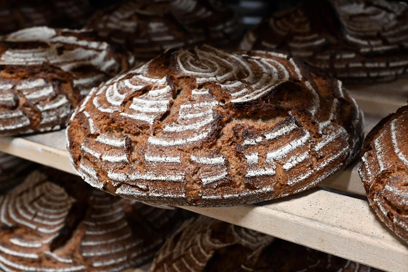 Roggenbrote in einer Backstube: Die Kostensteigerungen für Energie, Treibstoffe und Mehl bringen das Bäckerei-Handwerk zunehmend in Schwierigkeiten. Roggenbrote in einer Backstube: Die Kostensteigerungen für Energie, Treibstoffe und Mehl bringen das Bäckerei-Handwerk zunehmend in Schwierigkeiten.
