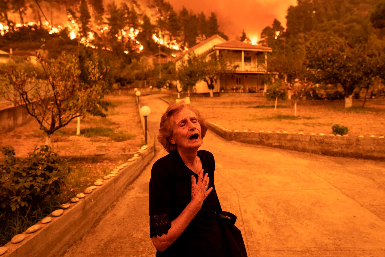 Das World Press Photo des Jahres aus Europa: Kritsiopi Panayiota (81) flüchtet, während sich ein Waldbrand ihrem Haus im Dorf Gouves auf der griechischen Insel Evia nähert.