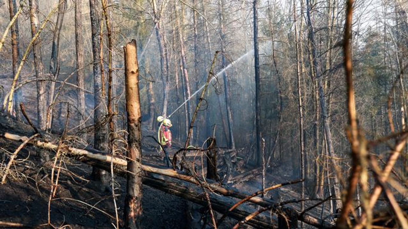 Ein Feuerwehrmann löscht einen Waldbrand (Symbolbild): Trockenheit und Hitze erhöhen das Risiko eines Feuers in der Natur.