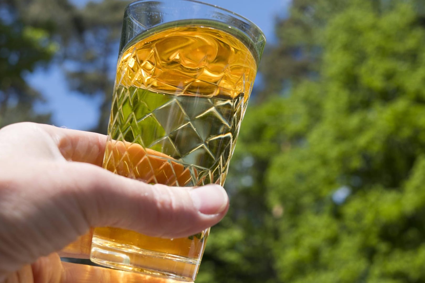 Ein Glas mit Apfelwein – Äppler (Symbolbild): Hessische Begriffe werden in Vorbergers Buch näher untersucht.