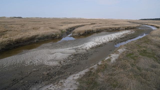 Landtagssitzung mit Debatte über Küstenschutz