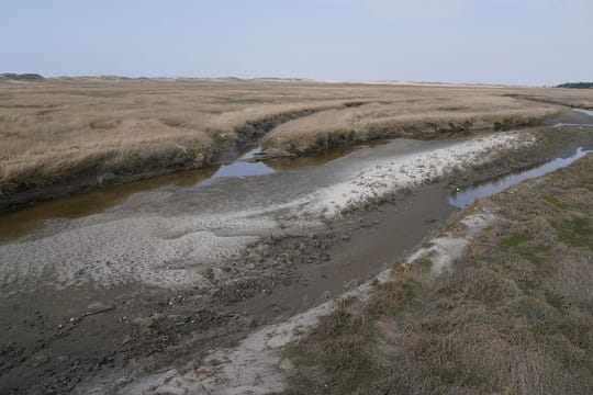 Landtagssitzung mit Debatte über Küstenschutz