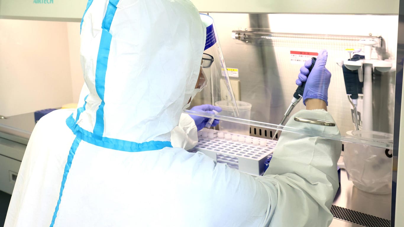In einem Labor werden PCR-Tests durchgeführt (Symbolbild): Die Inzidenz in Deutschland ist weiterhin sehr hoch.