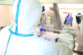 In einem Labor werden PCR-Tests durchgeführt (Symbolbild): Die Inzidenz in Deutschland ist weiterhin sehr hoch.