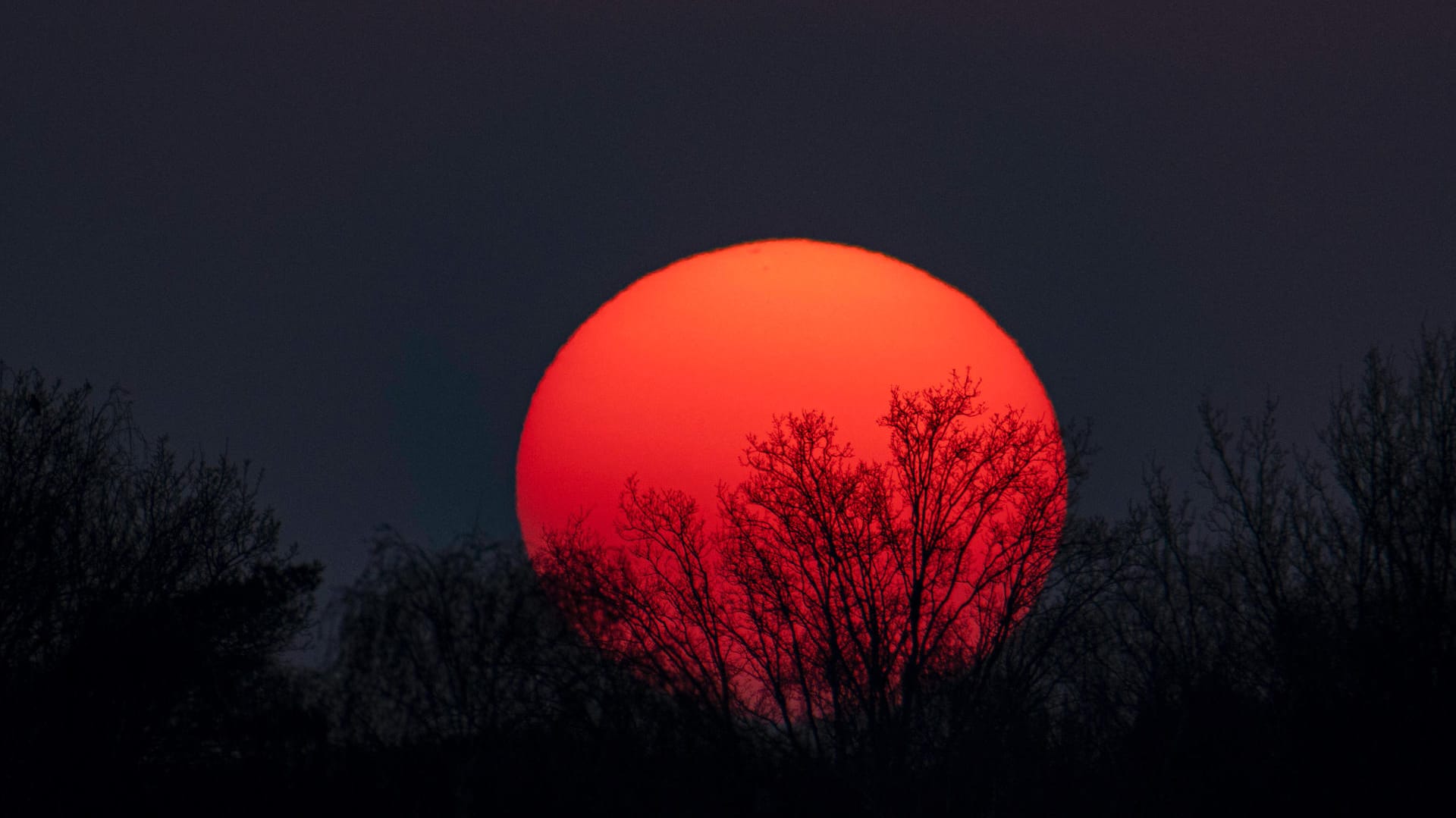 Sunset In The Netherlands Sunset in Meerhoven, near Eindhoven in the Netherlands. View of the setting sun behind the sil Sunset In The Netherlands Sunset in Meerhoven, near Eindhoven in the Netherlands. View of the setting sun behind the sil