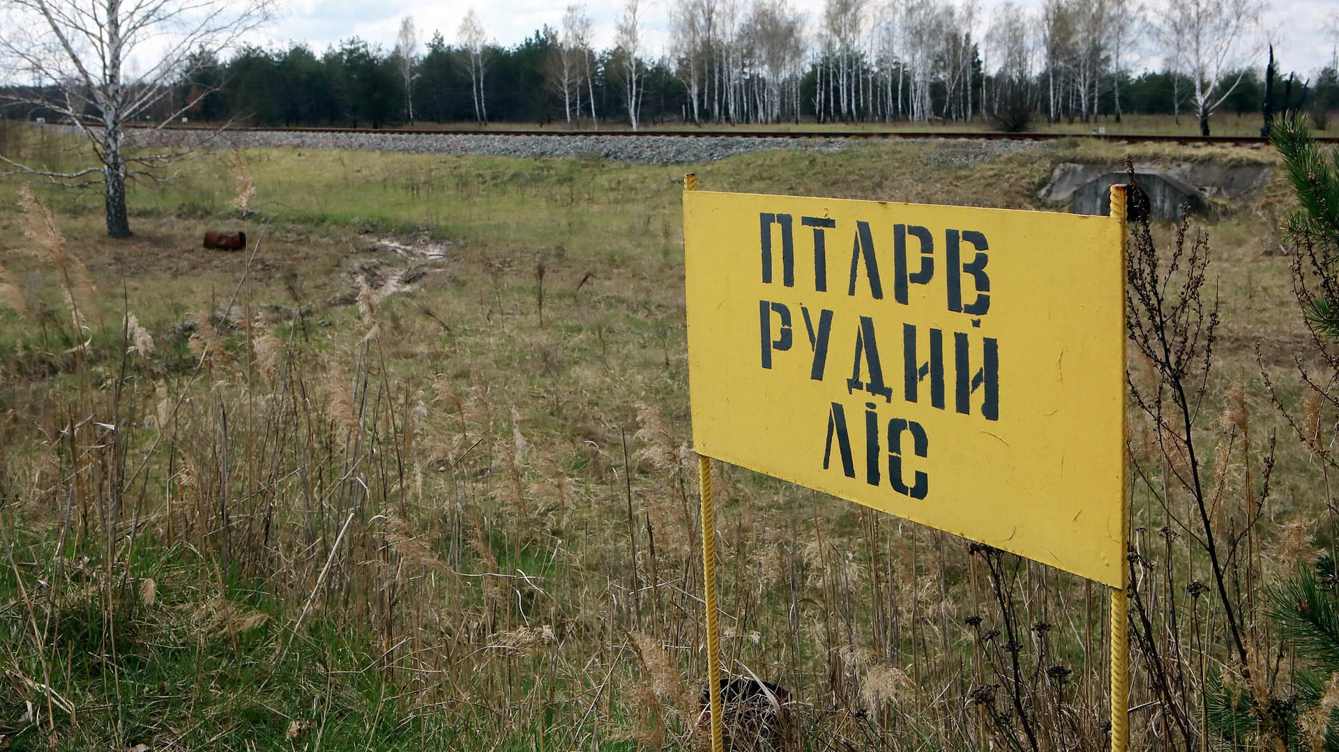 Das Schild markiert den Beginn des Roten Waldes von Tschernobyl: In dieses Gebiet dürfen nicht einmal die Mitarbeiter des stillgelegten Atomkraftwerks.