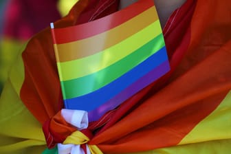 Regenbogenfahne (Symbolbild): Den homosexuellen Männern soll in Berlin notwendiger Schutz verweigert worden sein.
