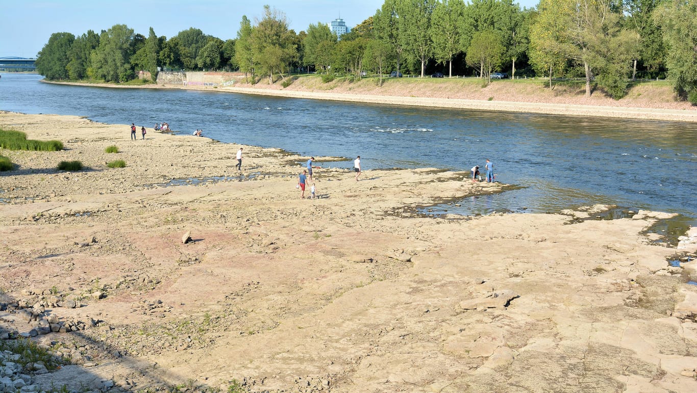 Ein halbausgetrocknete Flussbett der Elbe bei Magedeburg: Auf einen sehr nassen Sommer folgte 2021 ein viel zu trockener Herbst. Insgesamt war das Jahr deutlich zu warm.