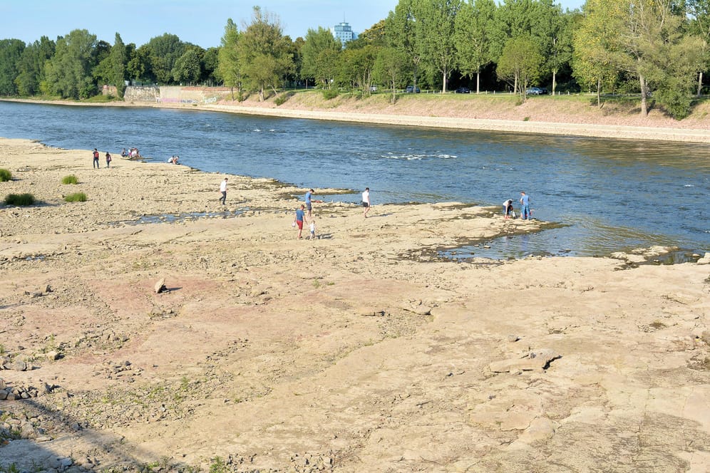 Ein halbausgetrocknete Flussbett der Elbe bei Magedeburg: Auf einen sehr nassen Sommer folgte 2021 ein viel zu trockener Herbst. Insgesamt war das Jahr deutlich zu warm.
