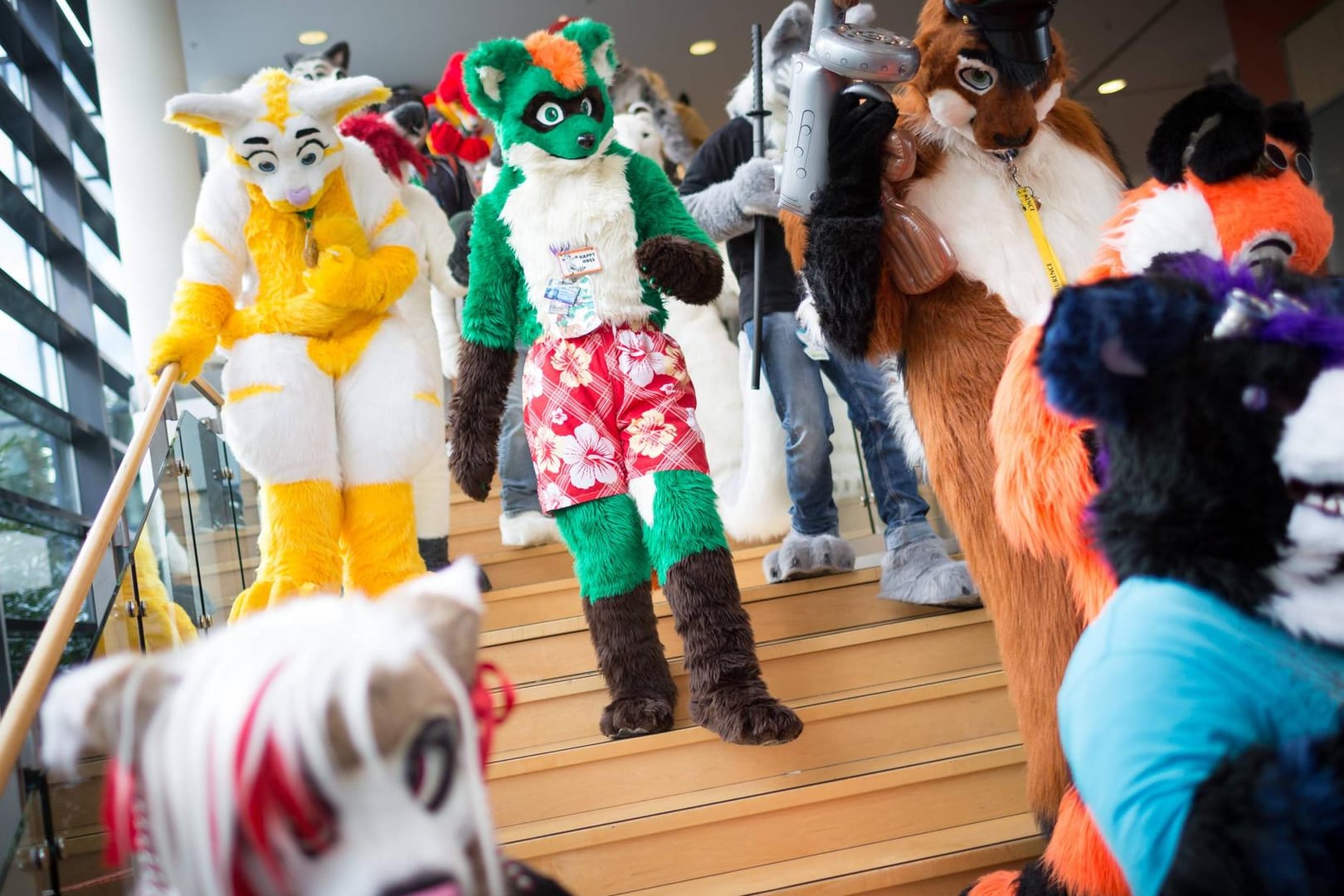 Als Plüschtiere verkleidete "Furries" besuchen ein Treffen in Berlin (Archivbild): Ein US-Politiker hat diesen Trend wohl falsch verstanden.