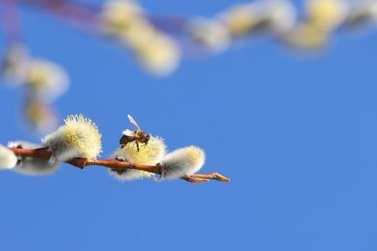 Sonne im Süden Bayerns