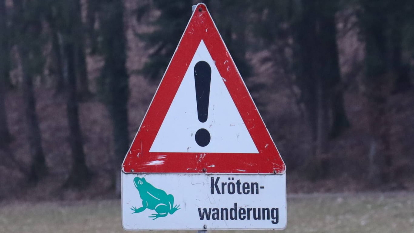 Ein Verkehrszeichen mit dem Hinweis Krötenwanderung im Raum Salzburg (Archivbild): Ein Hinweis, der die Tiere vor dem Tod bewahren kann.