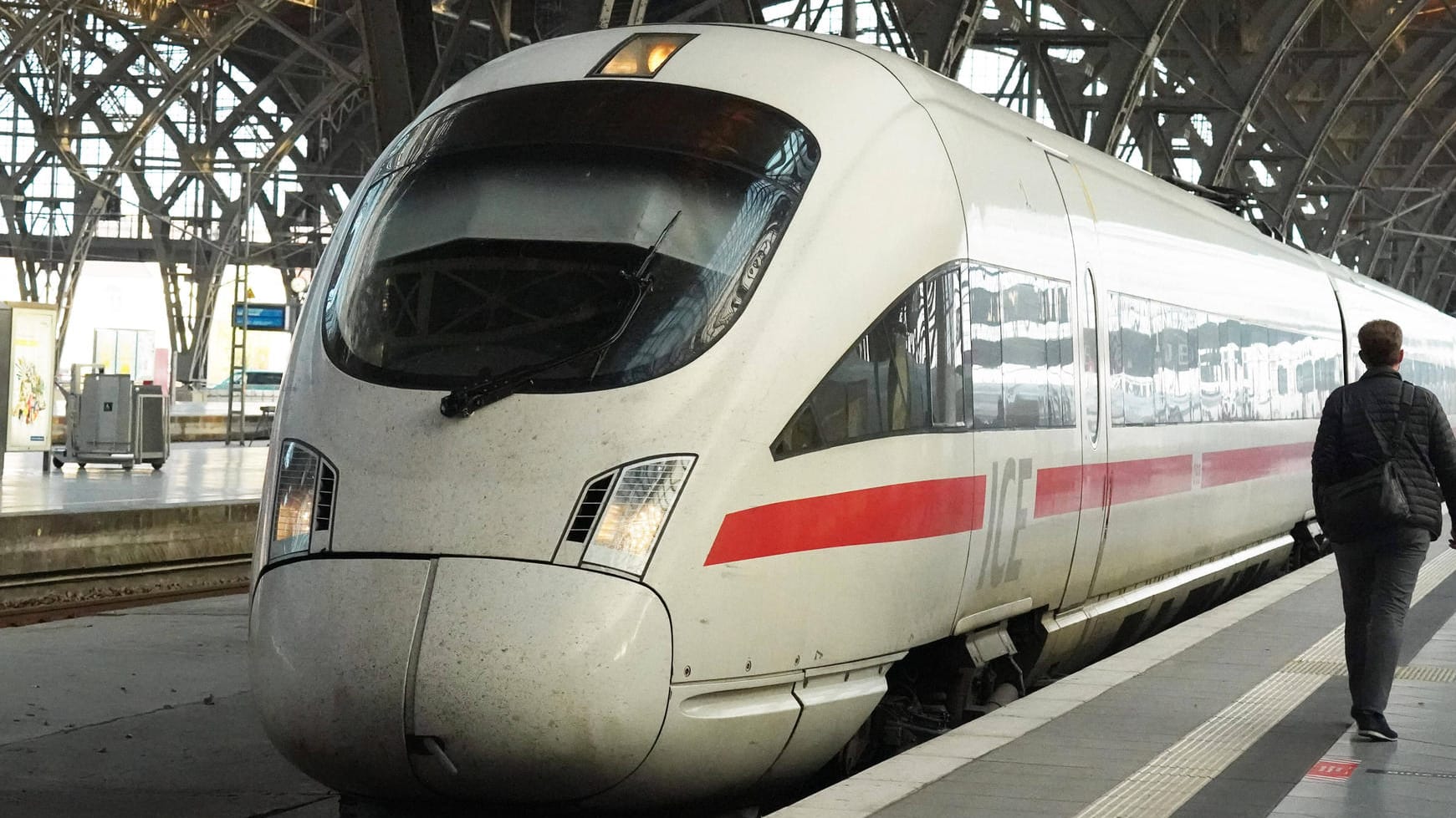 ICE im Leipziger Hauptbahnhof (Symbolbild): Die Polizisten warteten am Gleis auf den Tierquäler. ICE im Leipziger Hauptbahnhof (Symbolbild): Die Polizisten warteten am Gleis auf den Tierquäler.