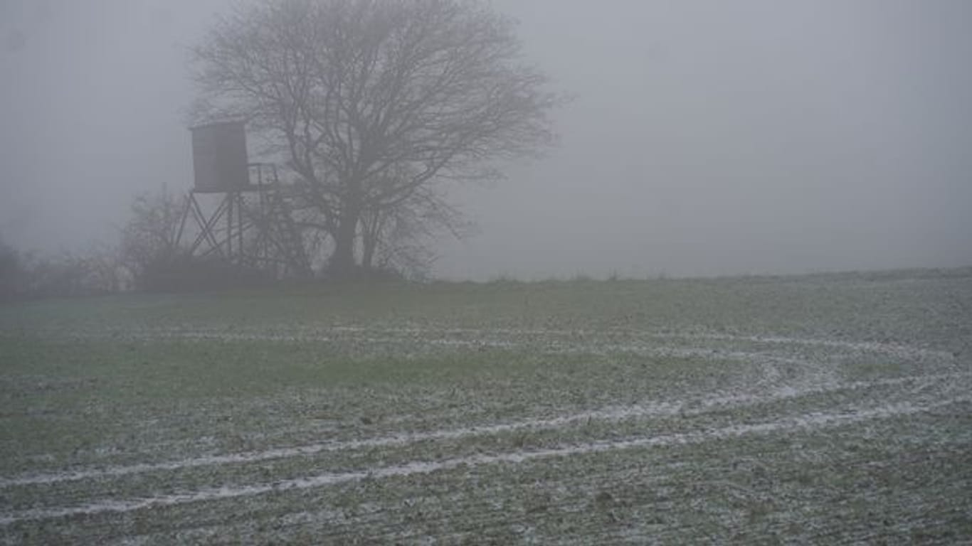 Dichter Nebel legt sich über ein Feld