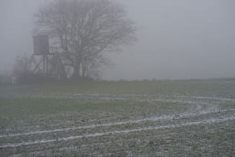 Dichter Nebel legt sich über ein Feld