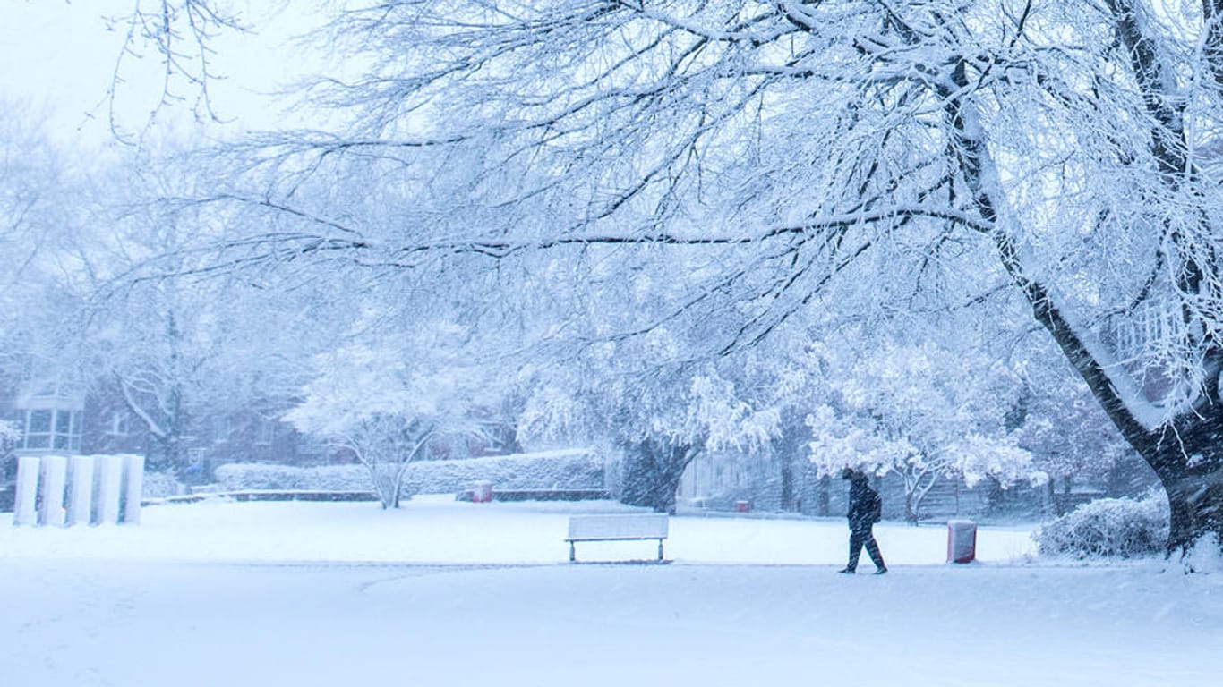Ein Junge geht durch einen verschneiten Park in Hamburg: Nach sonnigen Tagen ist der Winter zurück im Norden.